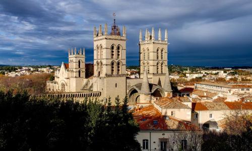Best Western Hotel Le Guilhem - photo 1